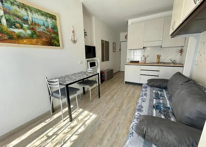 Bright With Terrace Appartement *